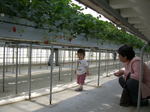 060503 020.jpg