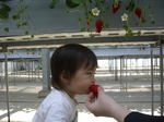 060503 024.jpg