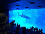 070718-21okinawa 084.jpg