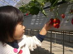 080308 018.jpg