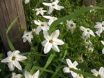 080415 015.jpg