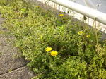 080415 016.jpg