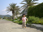 080429 071.jpg