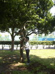 080506 018.jpg
