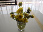 080522 003.jpg